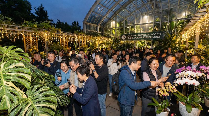 AI换脸植物社区活动